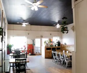 Interior at Avocado Pit